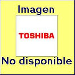 Toshiba բազմագույն տոներ
