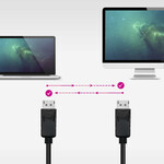 DisplayPort մալուխ NANOCABLE