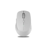 Մկնիկ Rapoo 00184340 Սպիտակ-մոխրագույն 1600 dpi