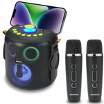 Համակարգչի բարձրախոսներ Daewoo-ում