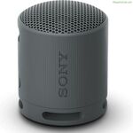 Դյուրակիր Bluetooth բարձրախոսներ Sony XB100 սև