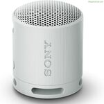 Դյուրակիր Bluetooth բարձրախոսներ Sony XB100 մոխրագույն
