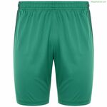 Տղամարդկանց սպորտային շորտեր Kappa DELEBIO կանաչ