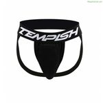 Գրոինգարդ Թեմփիշ