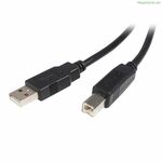 USB A to USB B Cable Startech USB2HAB1M Black