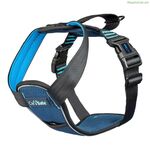 Dog Harness Company of Animals Carsafe Crash Tested Blue 60 cm Travel