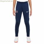 Մանկական սպորտային շորտեր Nike Paris Saint-Germain Strike