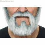 Արհեստական մորուք Իմ մյուս եսը Մոխրագույն