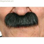 Բեղեր Իմ մյուս եսը Սև