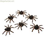 Հելոուինի զարդարանքներ «Իմ մյուս ես»-ն՝ փայլուն սարդ (6 հատ) (6 x 7 սմ)