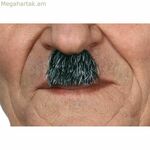 Բեղեր Իմ մյուս եսը Մոխրագույն