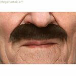 Բեղեր Իմ մյուս եսը Շագանակագույն