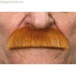 Բեղեր Իմ մյուս եսը Նարնջագույն