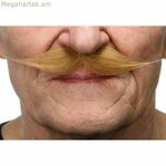 Բեղեր Իմ մյուս եսը Շիկահեր