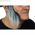 Կեղծ բադայրներ Իմ մյուս եսը Մոխրագույն