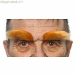 Արհեստական հոնքեր Իմ մյուս եսը՝ նարնջագույն