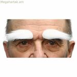 Արհեստական հոնքեր Իմ մյուս եսը Սպիտակ