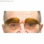 Արհեստական հոնքեր Իմ մյուս եսը Շագանակագույն