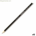 Գունավոր մատիտներ Staedtler Noris Colour WOPEX մոխրագույն (12 հատ)