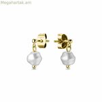 Կանացի ականջօղեր Rosefield JTSPG-J427 չժանգոտվող պողպատ 2 սմ