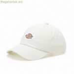 Սպորտային գլխարկ Dickies Hardwick Cloud (մեկ չափս)