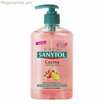 Ձեռքի օճառի դիսպենսեր Sanytol 280120 խոհանոց 250 մլ