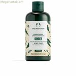 Կոնդիցիոներ The Body Shop Ջինջեր 250 մլ