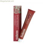 Permanent Dye Color Creme Exitenn Color Creme Nº 12/1 Platinum Ash (60 մլ)