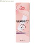 Permanent Dye Wella Shinefinity Color nº 010/6 60 մլ