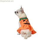 Շան կոստյում՝ դդում, չափս՝ M