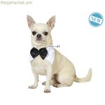 Շան կոստյում՝ թիթեռնիկ S