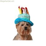 Շան զգեստ Կապույտ գլխարկ Ծննդյան օր