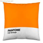 Բարձի ծածկոց՝ տերև Pantone տեղայնացում-B086JQ6G5Z երկկողմանի 50 x 50 սմ