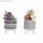 Դեկորատիվ բույս DKD տան դեկորի համար՝ կակտուսի խեժով պոլիէթիլեն 11 x 11 x 21 սմ (2 հատ)