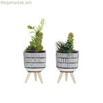 Դեկորատիվ բույս DKD տան դեկորի կերամիկական սև պոլիէթիլենային սպիտակ կանաչ (7 x 7 x 19 սմ) (2 հատ)