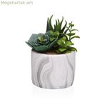 Դեկորատիվ բույս Versa կերամիկական պլաստիկ ֆյուժն սուկուլենտ 9 x 15 x 9 սմ