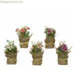 Դեկորատիվ բույս Ø 7 x 17 սմ