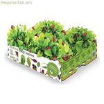 Մշակման հավաքածու Batlle Baby Leaves Salads 40 x 29 x 10,5 սմ 2,6 կգ