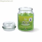 Մոմ կախարդական լույսեր 8030650530505 Ցիտրոնելա 510 մլ