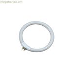 Լյումինեսցենտային խողովակ EDM 00301 30287 Սպիտակ 12 Վտ T4 փոխարինող շրջանաձև (6500 K)