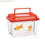 Միջատների տուփ՝ ողջ կյանքի ընթացքում