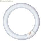 Լյումինեսցենտային խողովակ Patron 20 W G10Q (6400 K)