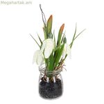 Դեկորատիվ բույս պոլիեսթեր պոլիէթիլենային երկաթ 7 x 7 x 20 սմ