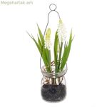 Դեկորատիվ բույս պոլիեսթեր պոլիէթիլենային երկաթ 5,5 X 5,5 X 21 սմ