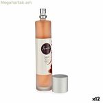 Օդը թարմացնող սփրեյ Acorde դարչին 100 մլ (12 հատ)