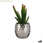 Դեկորատիվ բույս Ibergarden կերամիկական պլաստիկե կակտուս 10 x 20 x 10 սմ (6 հատ)
