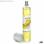 Օդը թարմացնող սփրեյ Ibergarden Citronel 100 մլ (12 միավոր)