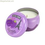 Հոտավետ մոմ The Fruit Company BlackBerry 150 գ