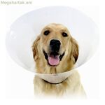 Եղիսաբեթյան շան վզնոց KVP Check թափանցիկ (23-32 սմ)