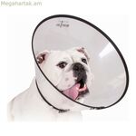 Եղիսաբեթյան շան վզնոց KVP Saf-T-Clear թափանցիկ (17-20 սմ)